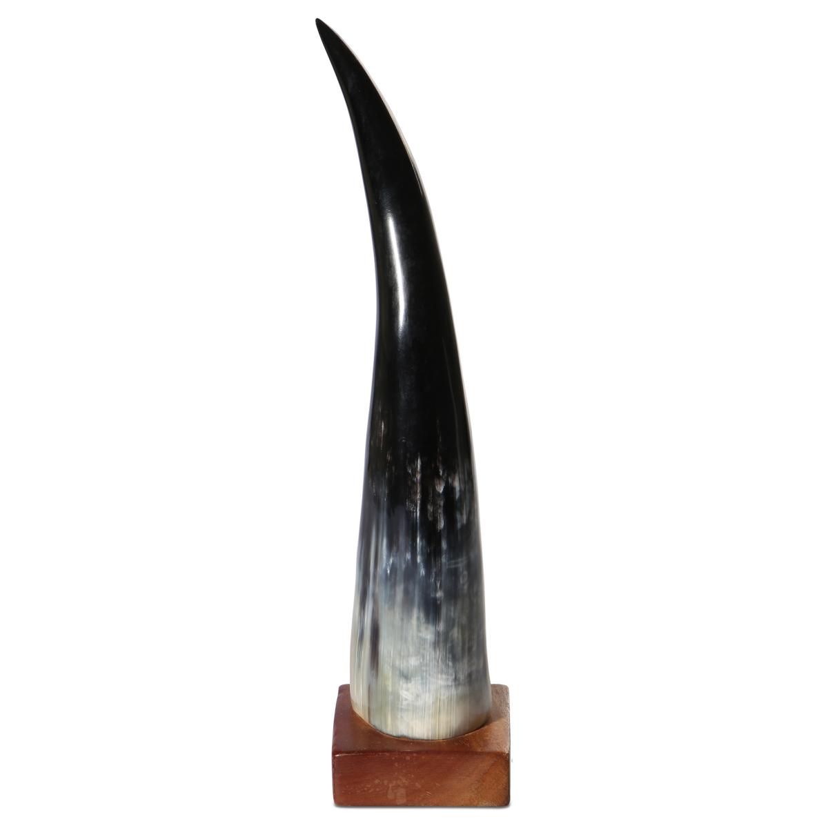 Rinderhorn poliert auf Holzstand 30-39cm