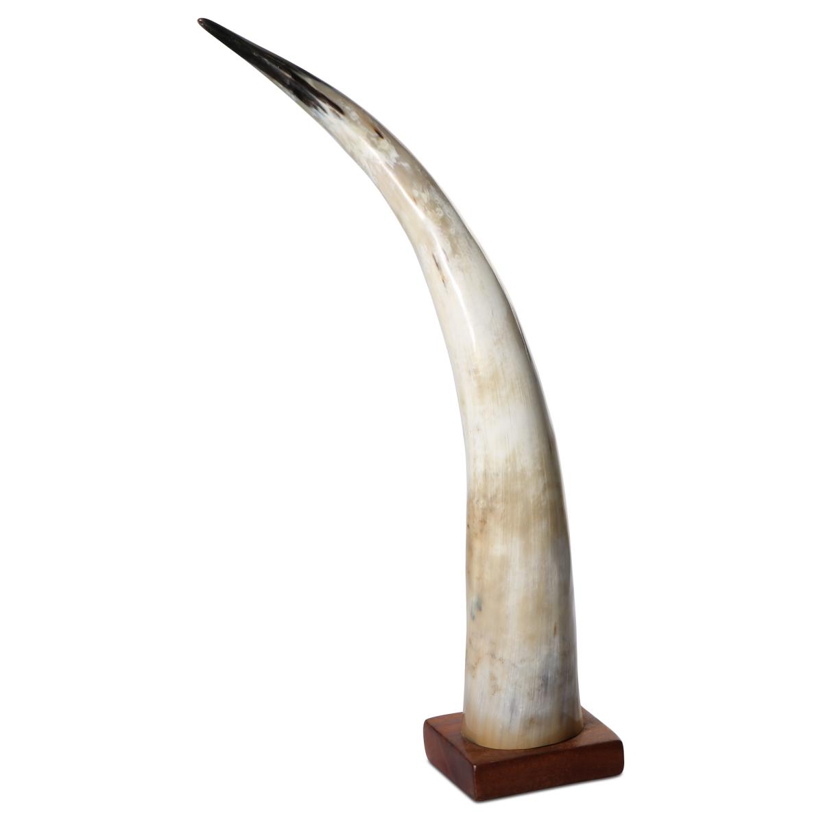 Rinderhorn poliert auf Holzstand 60-69cm