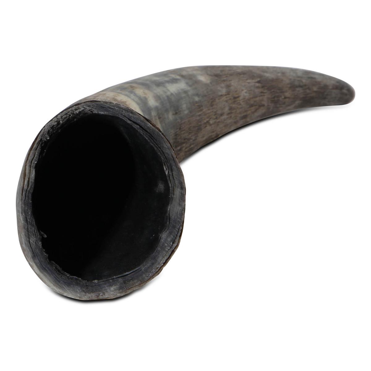 Rinderhorn natur 30-39cm