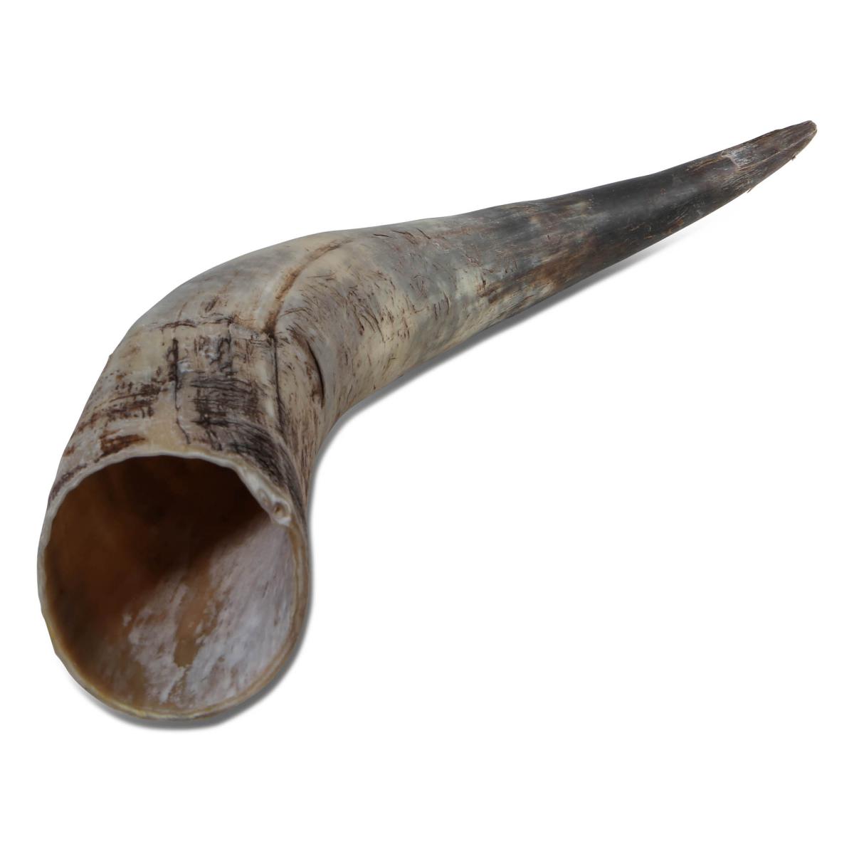 Rinderhorn natur 50-59cm