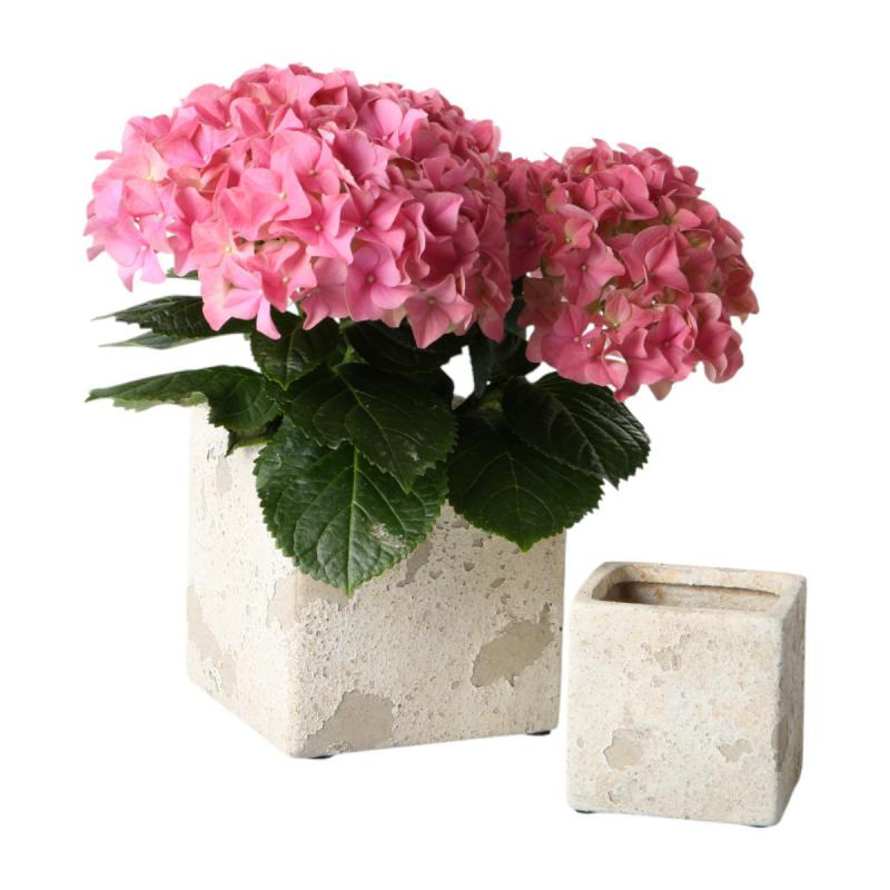 Würfel in Zementoptik