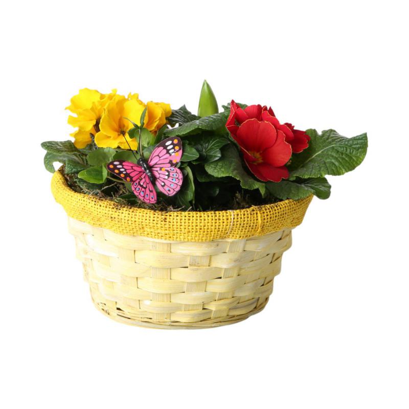 Spannkorb rund - gelb