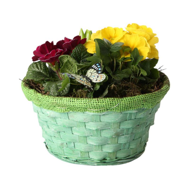 Spannkorb rund - grün