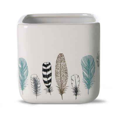 Topf Federn für 12er