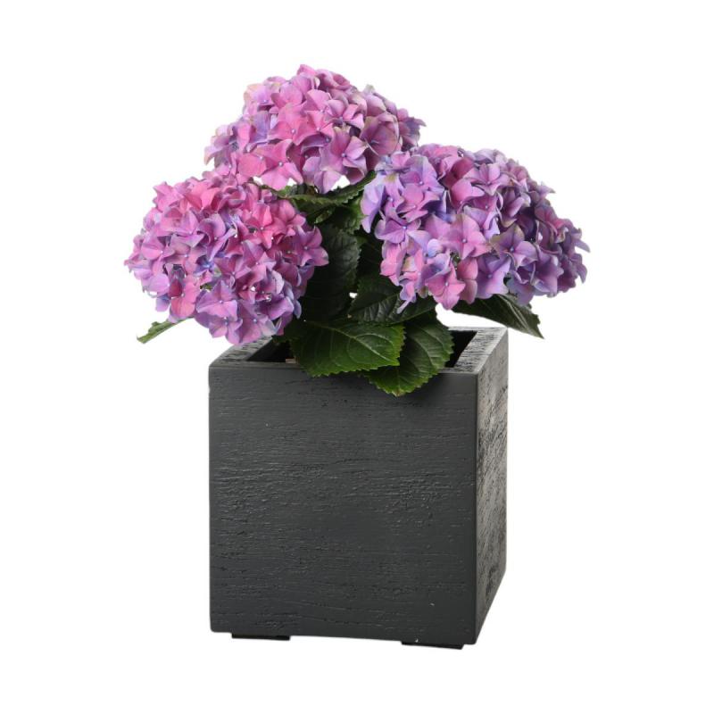 Terreno Cube XS - Earth