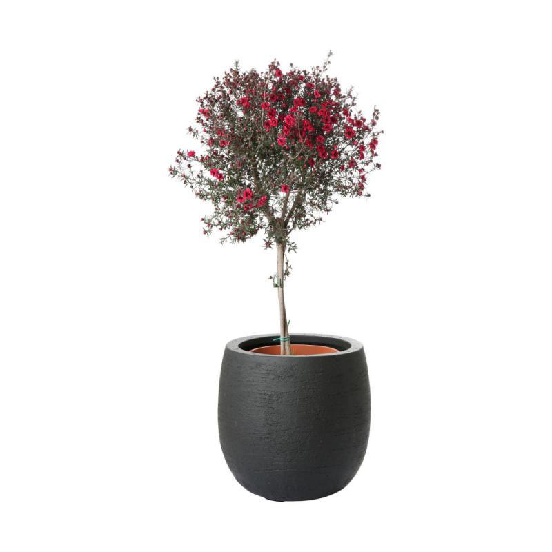 Terreno Balloon S - Earth