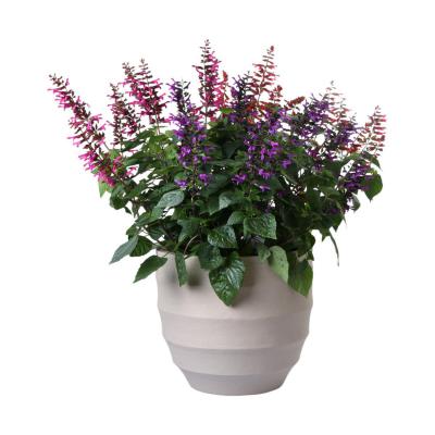 Bordo New Egg Pot M - Sand