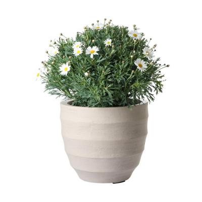 Bordo New Egg Pot S - Sand