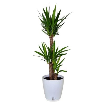 Riviera Eva Kübel 24,5l blanc