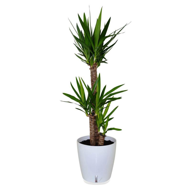 Riviera Eva Kübel 24,5l blanc