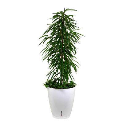 Riviera Eva Kübel 49l blanc