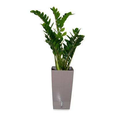 Riviera Eva K&uuml;bel 31l taupe