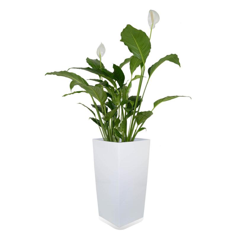 Riviera Eva Kübel 69l blanc