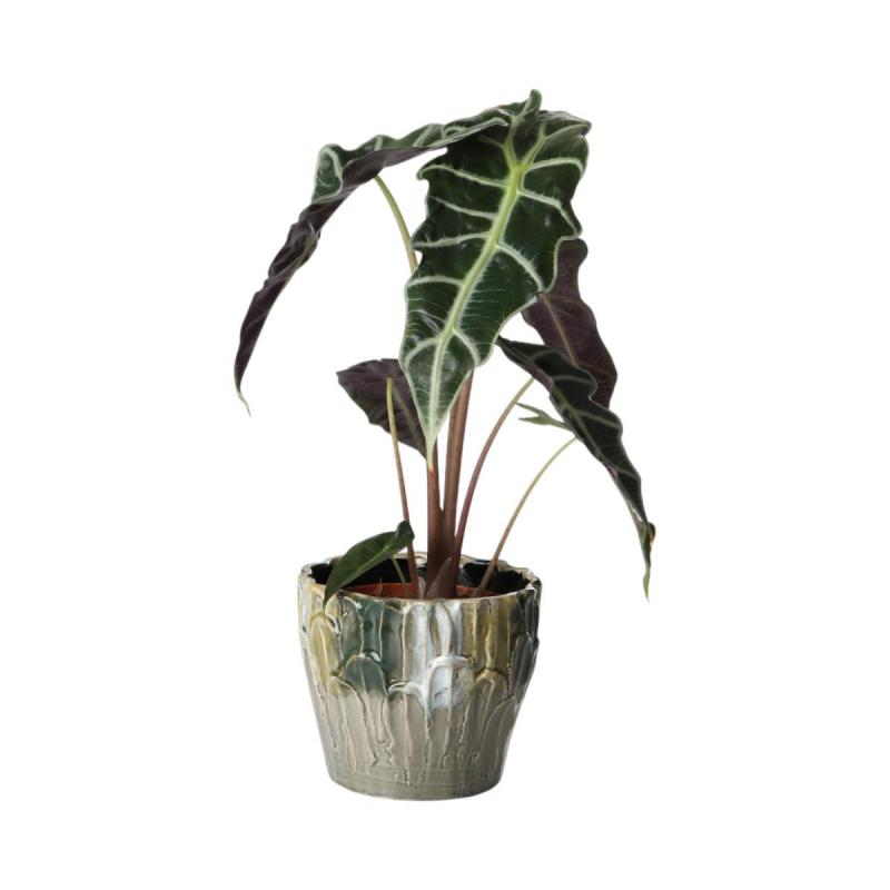 Topf mit Blattdesign