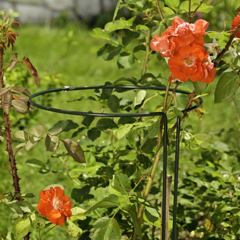 Staudenstütze 2-teilig 45cm