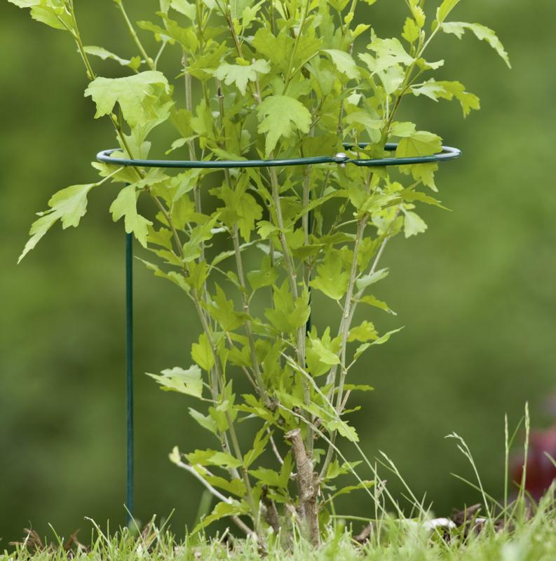Staudenst&uuml;tze 2-teilig 100cm