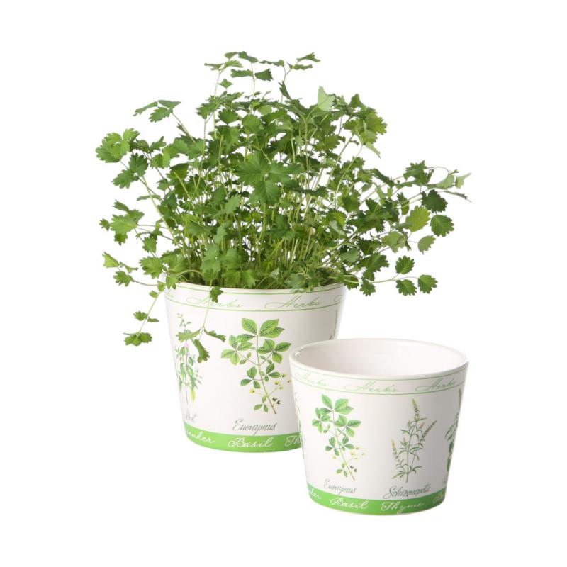 Topf mit Kräutermotiv