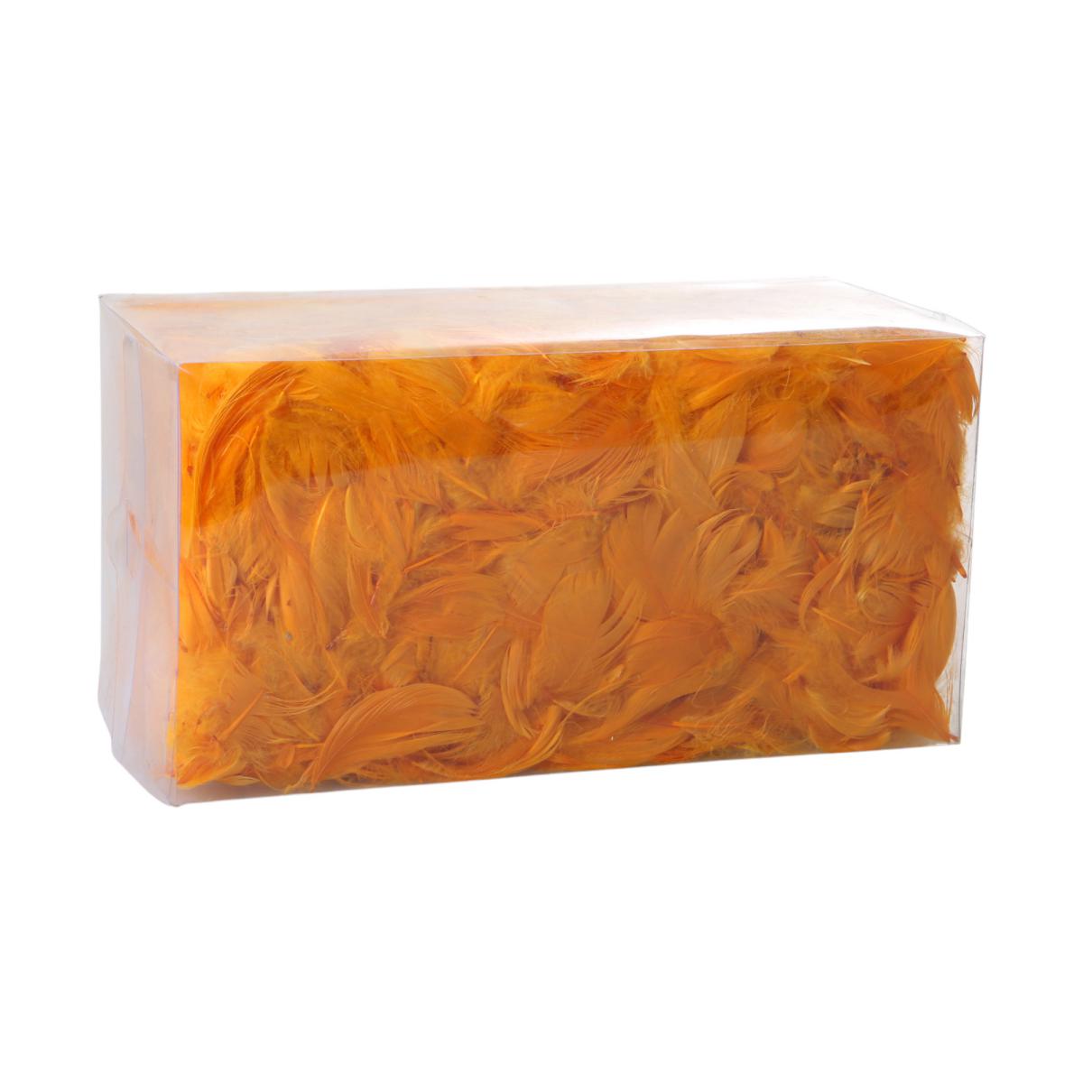 Federn in Box gelborange