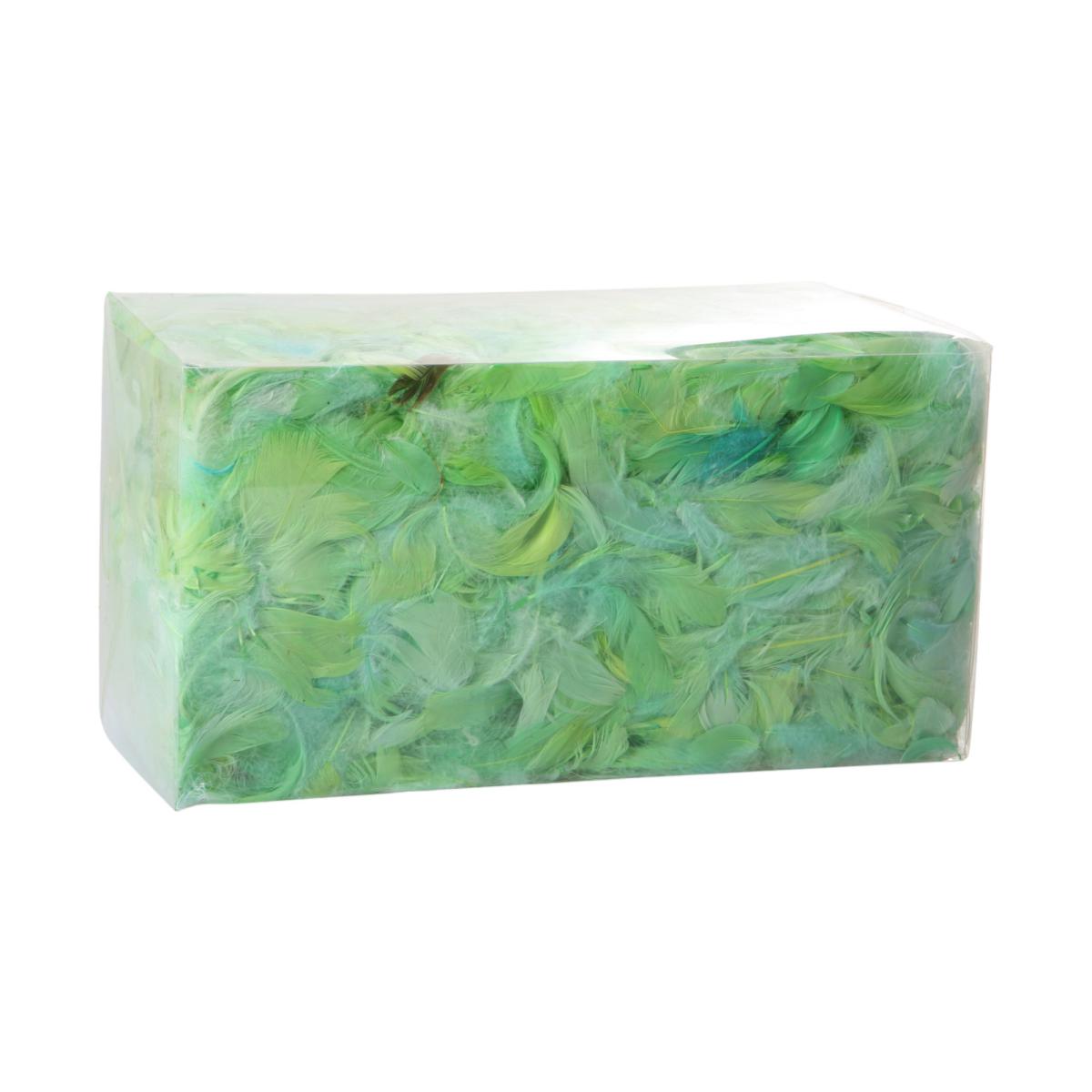 Federn in Box gr&uuml;n