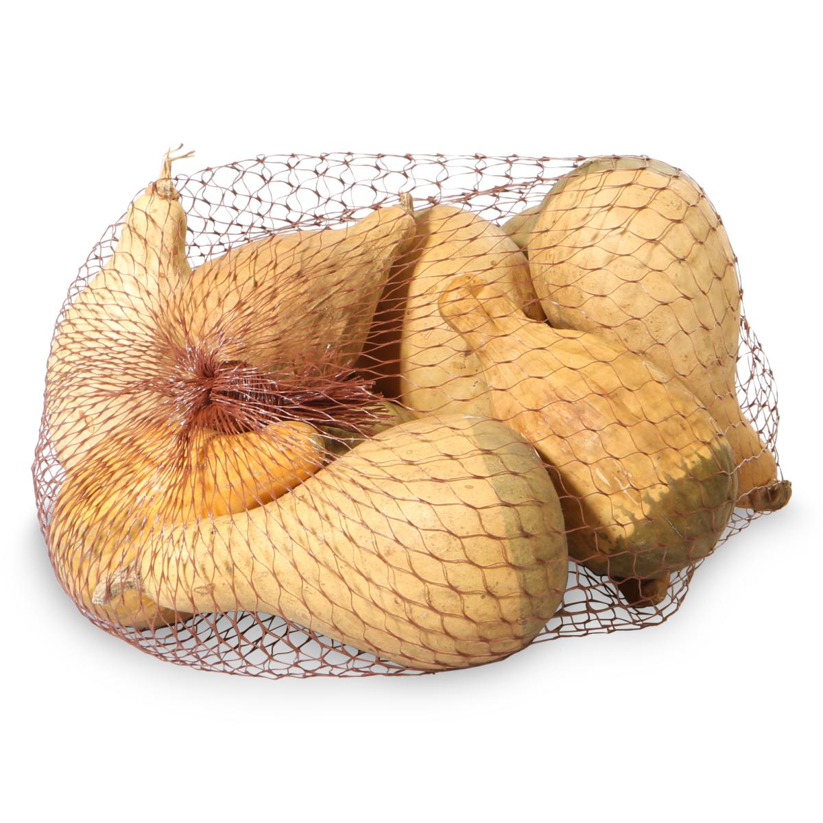 mini K&uuml;rbis getrocknet natural