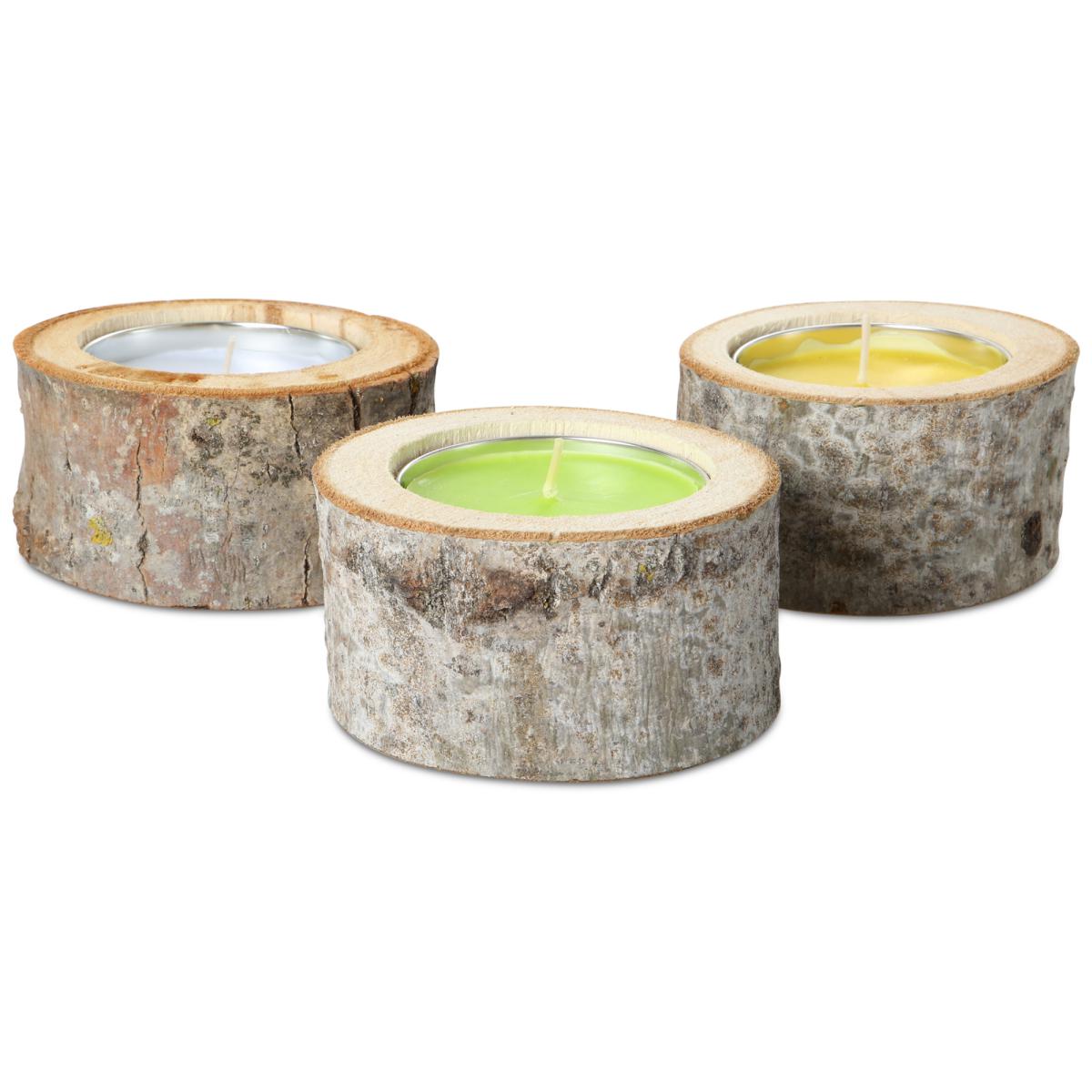 Citronella im Baumstamm Farbmix
