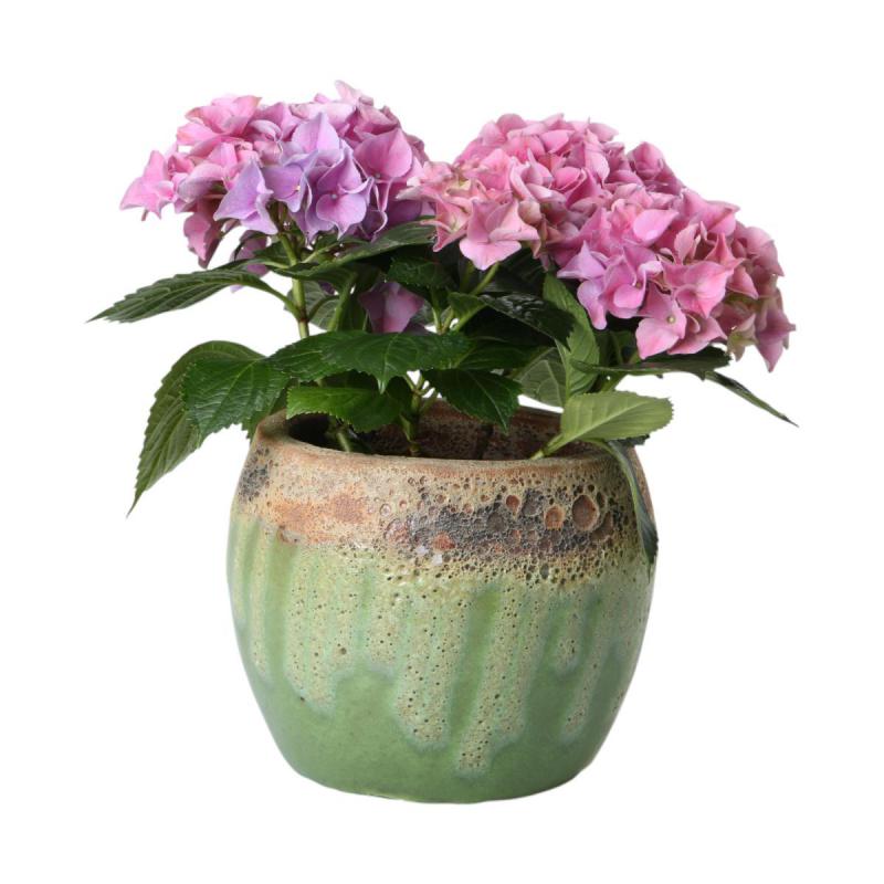 Outdoor Kübel glasiert bauchig apfelgrün