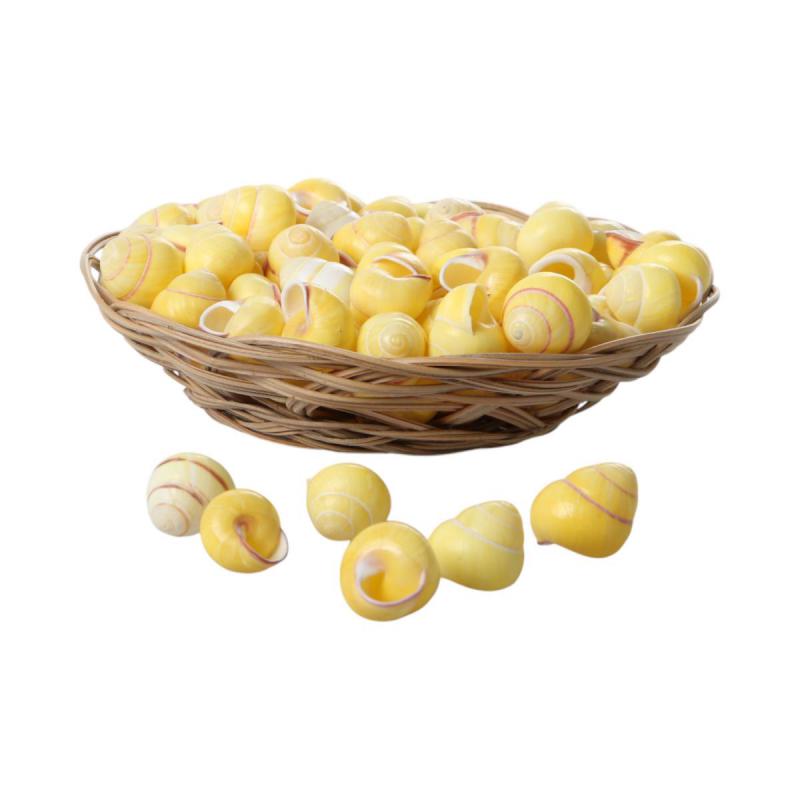 Muschelkorb Yellow Snail Plain 15cm