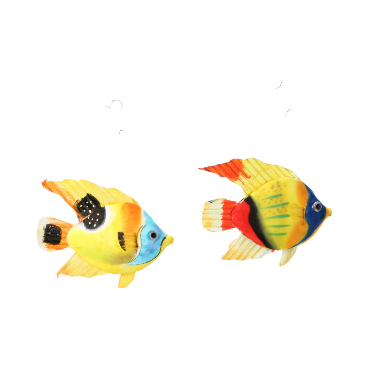 Kork-Papageifisch