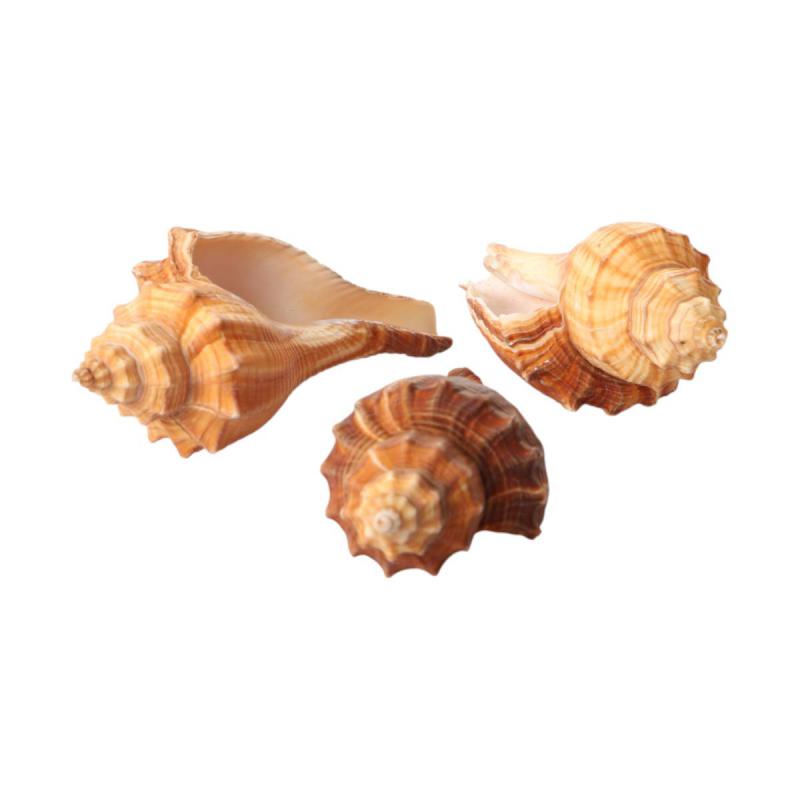 Muschelkorb Melongina 15cm
