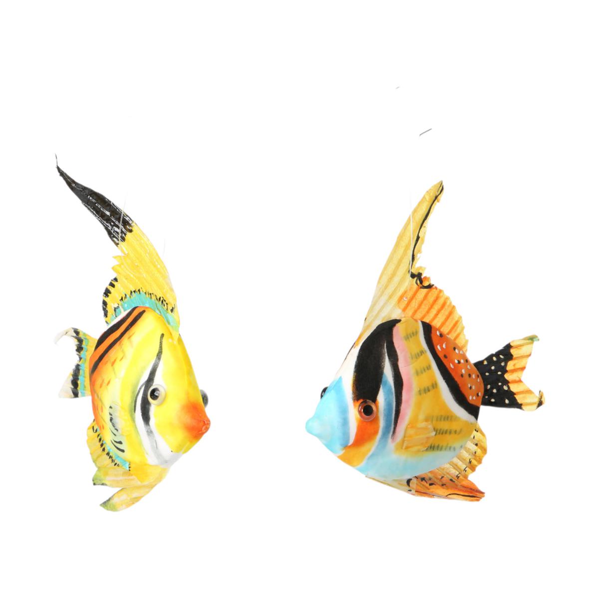Kork-Fisch Scalari