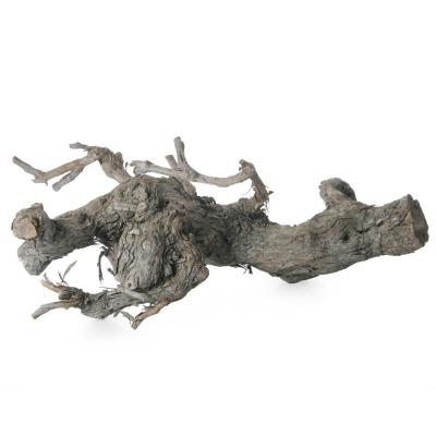 Weinrebe white washed 30-35cm