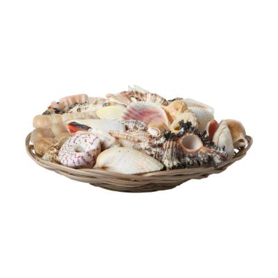 Muschelkorb sortiert simple 20cm