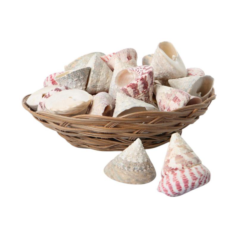 Muschelkorb Strawberry&Female Troca 20cm