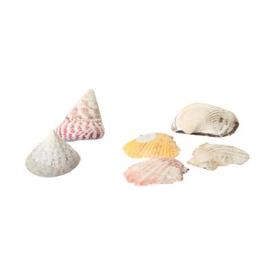Muschelkorb Strawberry&Female Troca 20cm