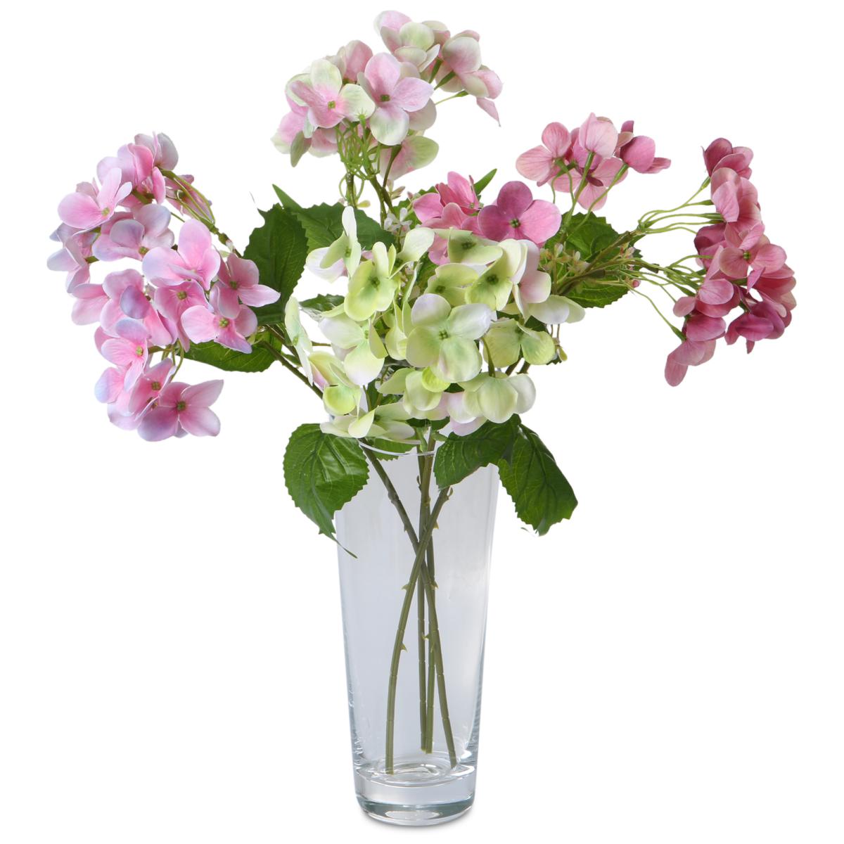 Hortensien-Einstieler Farbmix