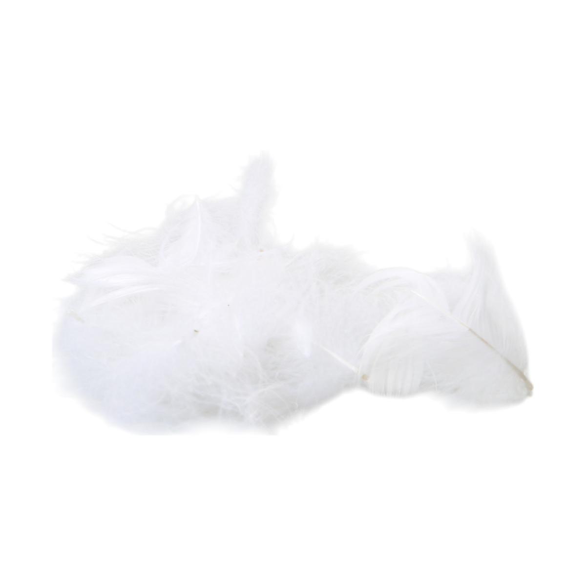 Federn lose 5g wei&szlig;