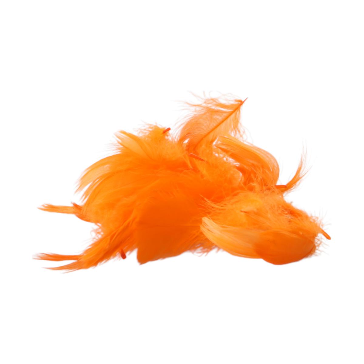 Federn lose 5g orange