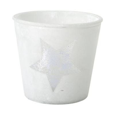 Topf frosty mit Metallic-Stern silber f. 12er