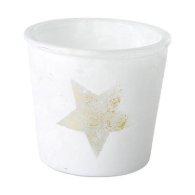 Topf frosty mit Metallic-Stern gold f. 10er