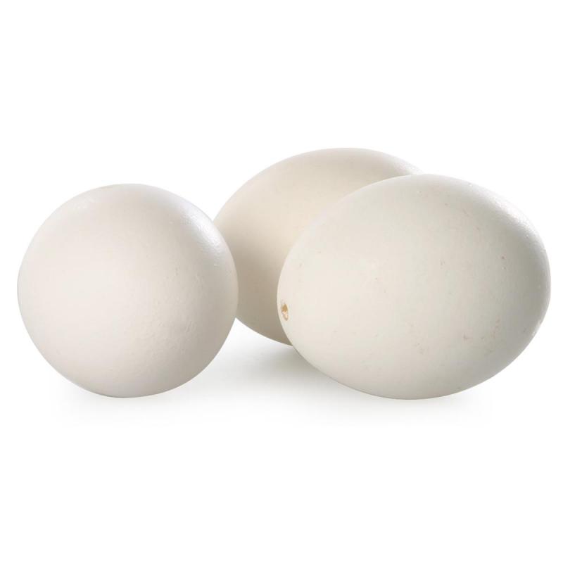 H&uuml;hnereier ausgeblasen wei&szlig;