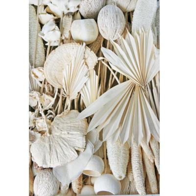 Indien Sortiment gebleicht