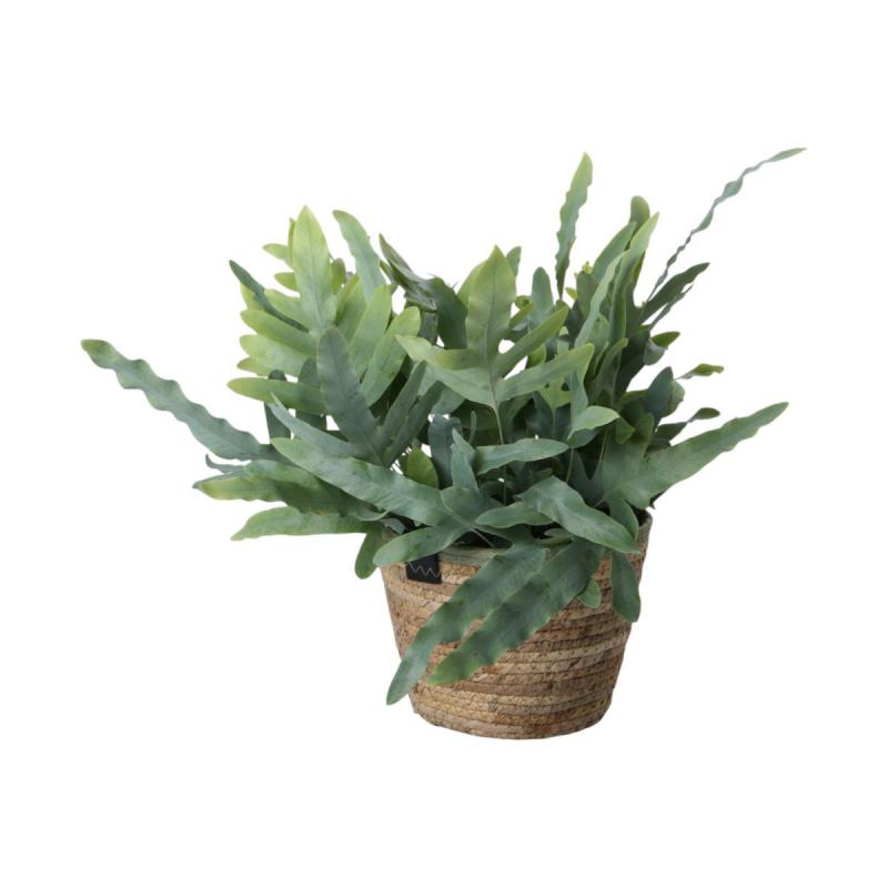 Strohkorb mit schwarzen Rand