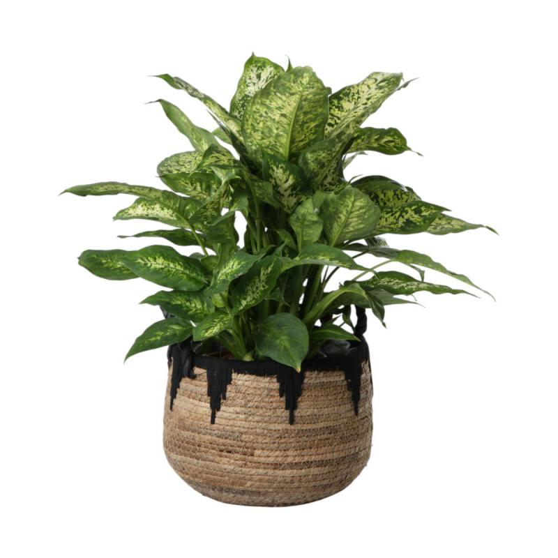 Strohkorb mit Henkel