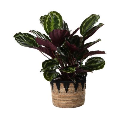 Strohkorb mit Henkel