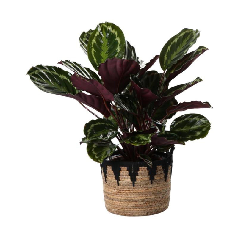 Strohkorb mit Henkel