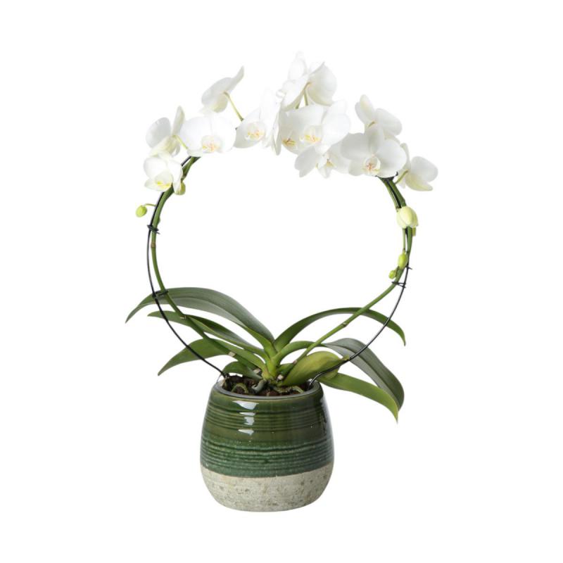 Übertopf halbglasiert grün für 11er