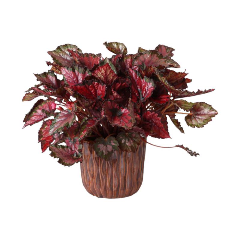 Übertopf glasiert pink für 12er