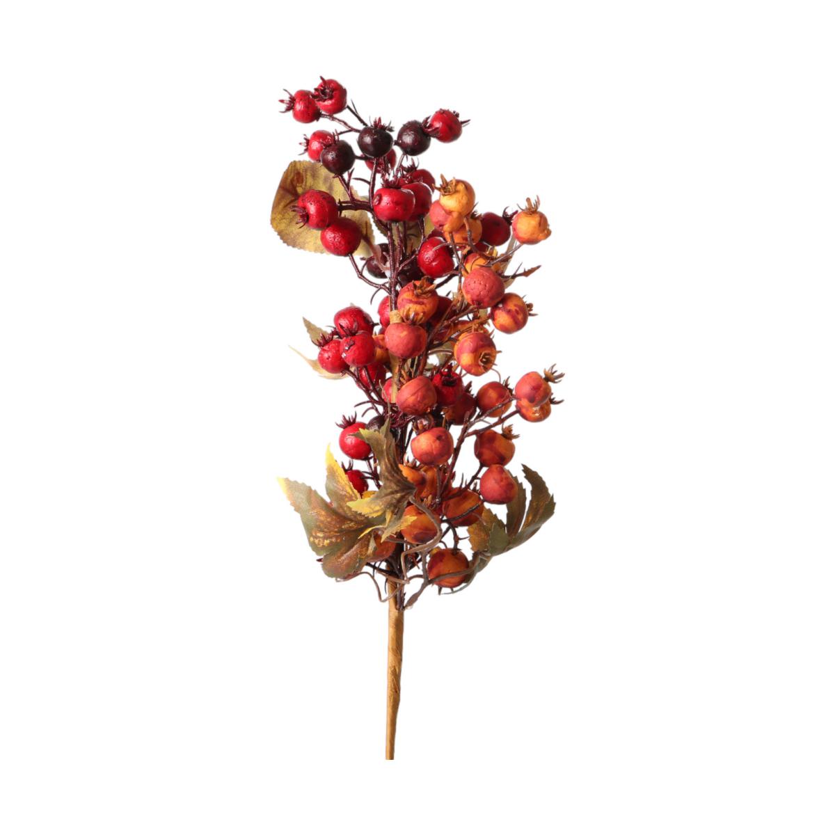 Bl&auml;tter und Beeren am Stiel