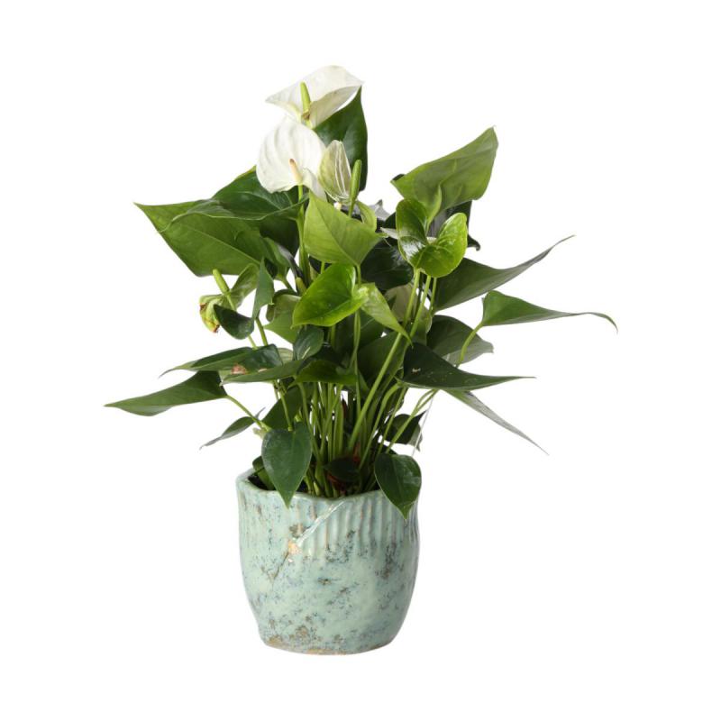 Übertopf glasiert für 13er blaugrün