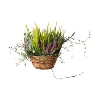 Pflanzkorb mit Henkel